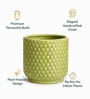 Textured Bubble Ceramic Planter Pot
