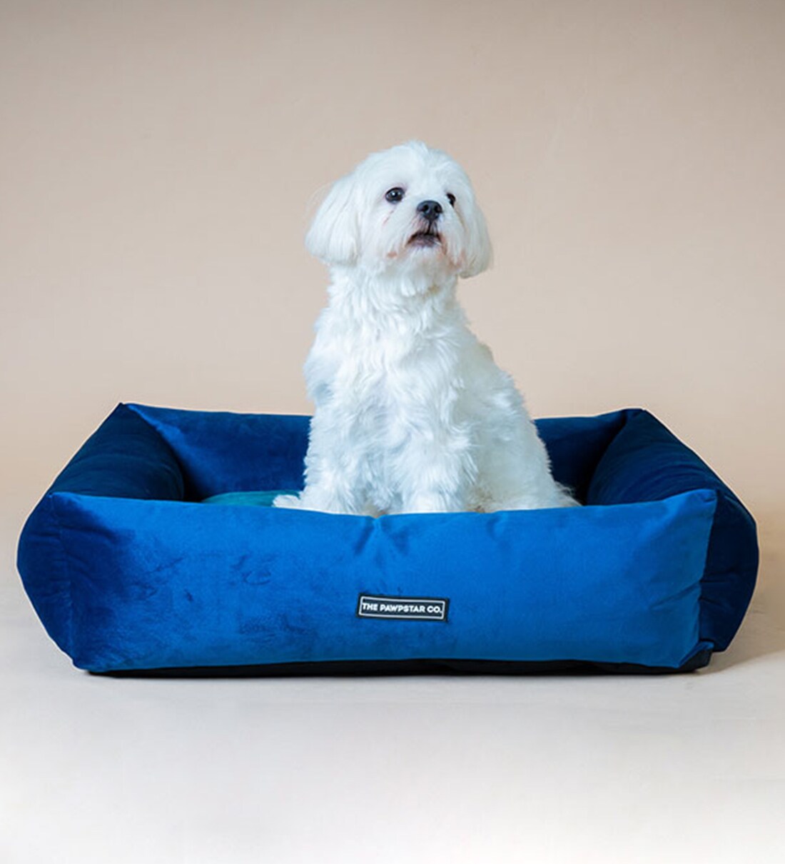 Buy The Marine Lounger Bed By Pawpstar Online Dog Beds Dog Beds Pets Pepperfry Product