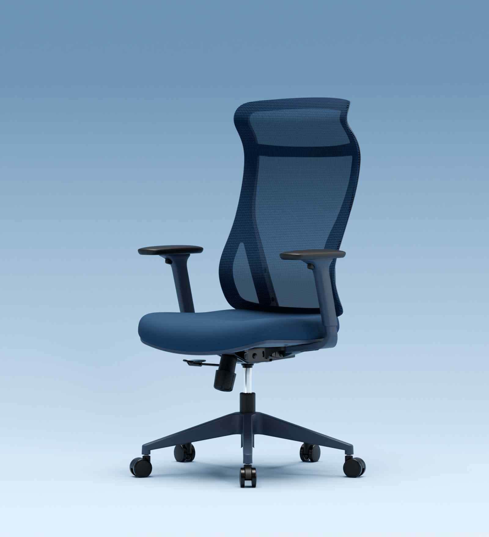 The Novice Premium Ergonomic Chair In Florence Blue Colour The Novice Premium Ergonomic Chair In Florence Blue Colour