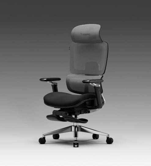 The Director Metal Premium Ergonomic Chair In Eclipse Grey With Footrest