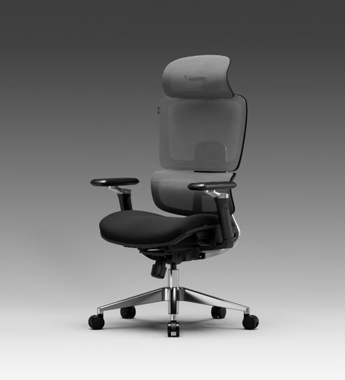 The Director Metal Premium Ergonomic Chair In Eclipse Grey Without Footrest