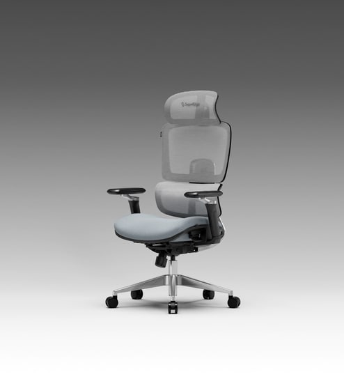 The Director Metal Premium Ergonomic Chair In Lakestone Grey Without Footrest