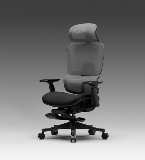 The Director Premium Ergonomic Chair In Eclipse Grey With Footrest