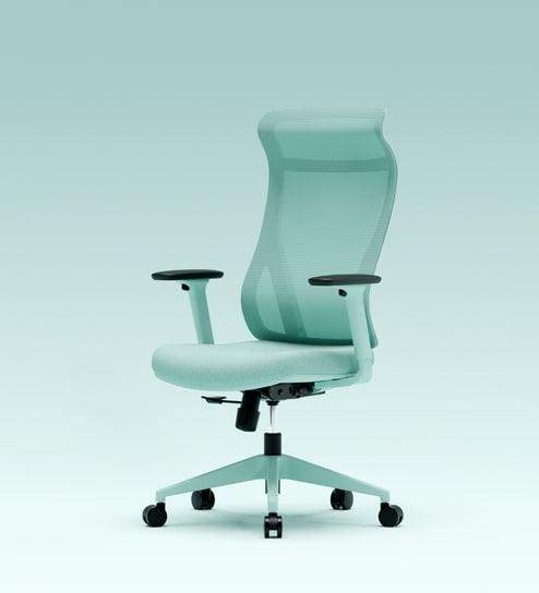 The Novice Premium Ergonomic Chair In Ice Green