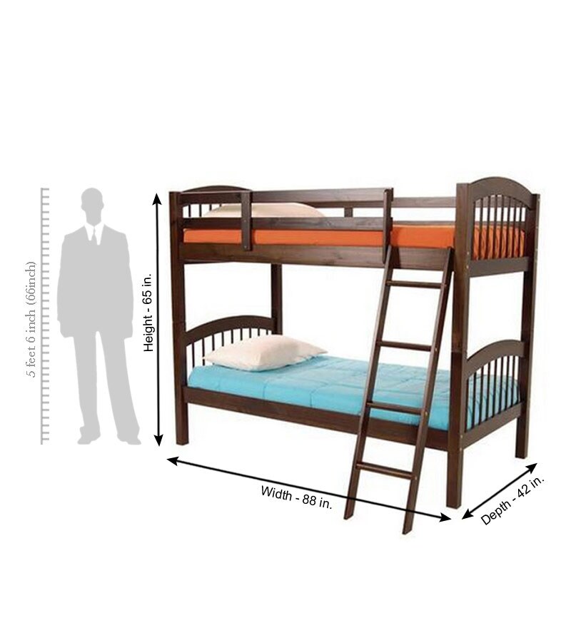 Buy The Compact Bunk Bed Online Bunk Beds Bunk Beds Kids