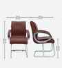Thanos Leatherette Cantilever Chair In Brown Colour
