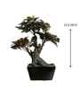 The Artful Red Elegant Bonsai Tree The Artful Red Elegant Bonsai Tree