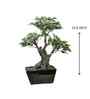 The Artful White Bonsai Tree The Artful White Bonsai Tree