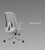The Associate Mid Back Premium Ergonimic Chair In Lunar Grey Colour