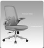 The Associate Mid Back Premium Ergonimic Chair In Lunar Grey Colour