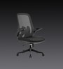 The Associate Mid Back Premium Ergonimic Chair In True Black Colour