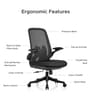 The Associate Mid Back Premium Ergonomic Chair in True Black (Set of 2) The Associate Mid Back Premium Ergonomic Chair in True Black (Set of 2)