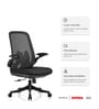 The Associate Mid Back Premium Ergonomic Chair in True Black (Set of 2) The Associate Mid Back Premium Ergonomic Chair in True Black (Set of 2)