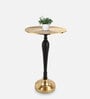 The Carla Metal End Table In Gold & Black Colour