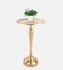 The Carla Metal End Table In Gold Colour