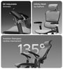 The Chief Premium Ergonomic Chair in Cosmic Grey Color The Chief Premium Ergonomic Chair in Cosmic Grey Color