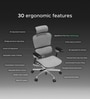 The Chief Premium Ergonomic Chair in Cosmic Grey Color The Chief Premium Ergonomic Chair in Cosmic Grey Color