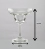 Classic Glass 250ml (Set of 2) Cocktail Glasses