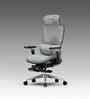 The Director Metal Premium Ergonomic Chair In Lakestone Grey Colour With Footrest
