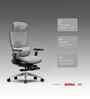The Director Metal Premium Ergonomic Chair In Lakestone Grey Colour With Footrest