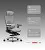 The Director Metal Premium Ergonomic Chair In Lakestone Grey Colour With Footrest