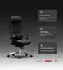 The Director Metal Premium Ergonomic Chair In Lakestone Grey Colour With No Footrest