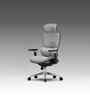 The Director Metal Premium Ergonomic Chair In True Black Colour With No Footrest