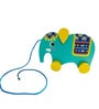 The Elephant Pull Along Toy- My Haathi Raja In