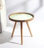 The Grove Medium End Table In Green & Brown Finish