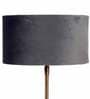 Confined Grey Velvet Shade Night Lamp With Iron & Brass Base