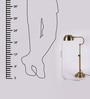 Francis Brown Study Lamp With Brass Base