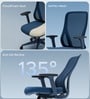 The Novice Mid Back Premium Ergonimic Chair In Florence Blue Colour