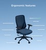 The Novice Mid Back Premium Ergonimic Chair In Florence Blue Colour