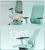 The Novice Mid Back Premium Ergonimic Chair In Ice Green Colour