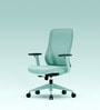 The Novice Mid Back Premium Ergonimic Chair In Ice Green Colour