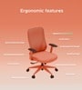 The Novice Mid Back Premium Ergonimic Chair In Spiced Orange Colour