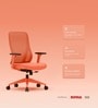 The Novice Mid Back Premium Ergonimic Chair In Spiced Orange Colour