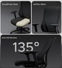 The Novice Mid Back Premium Ergonimic Chair In True Black Colour