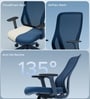 The Novice Mid Back Premium Ergonomic Chair In Florence Blue Colour