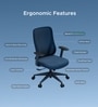 The Novice Mid Back Premium Ergonomic Chair In Florence Blue Colour