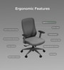 The Novice Mid Back Premium Ergonomic Chair In Lunar Grey Colour