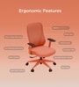 The Novice Mid Back Premium Ergonomic Chair In Spiced Orange Colour The Novice Mid Back Premium Ergonomic Chair In Spiced Orange Colour