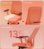 The Novice Mid Back Premium Ergonomic Chair in Spiced Orange The Novice Mid Back Premium Ergonomic Chair in Spiced Orange