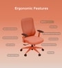 The Novice Mid Back Premium Ergonomic Chair in Spiced Orange The Novice Mid Back Premium Ergonomic Chair in Spiced Orange