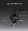 The Novice Mid Back Premium Ergonomic Chair in True Black The Novice Mid Back Premium Ergonomic Chair in True Black