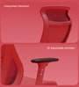 The Novice Premium Ergonomic Chair In Ember Red Colour The Novice Premium Ergonomic Chair In Ember Red Colour