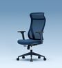 The Novice Premium Ergonomic Chair In Florence Blue Colour The Novice Premium Ergonomic Chair In Florence Blue Colour