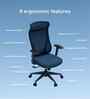 The Novice Premium Ergonomic Chair In Florence Blue Colour