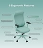 The Novice Premium Ergonomic Chair In Ice Green Colour The Novice Premium Ergonomic Chair In Ice Green Colour