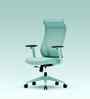 The Novice Premium Ergonomic Chair In Ice Green Colour